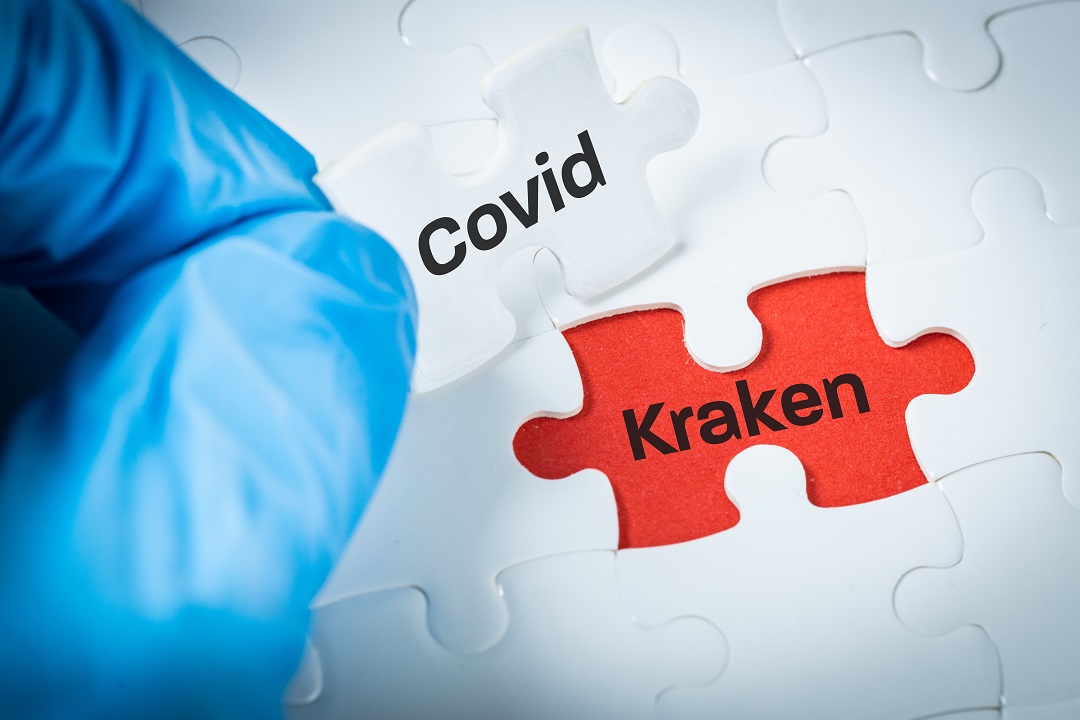 Covid, individuati 2 casi variante ‘Kraken’. No evidenze malattia più grave