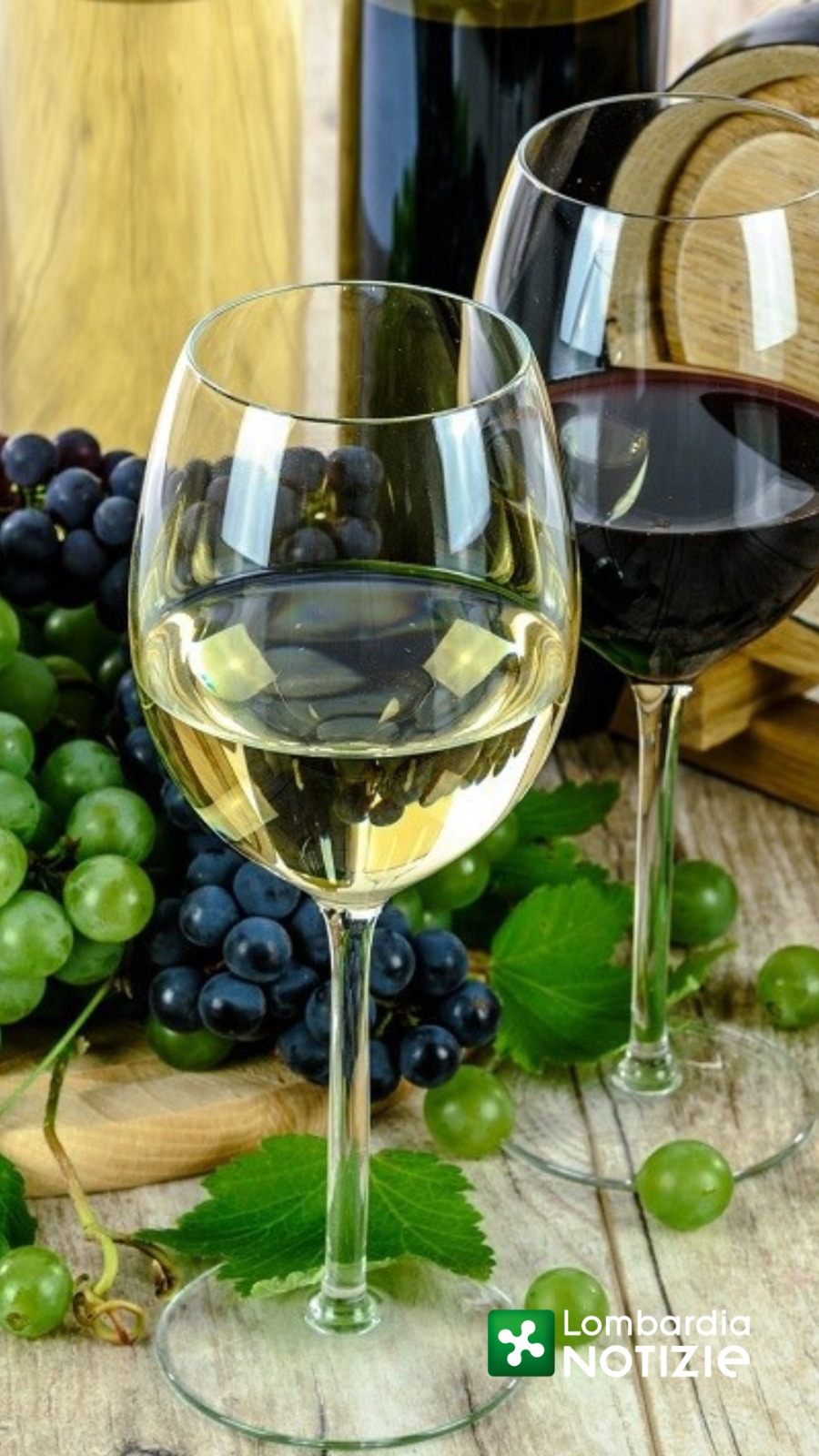 Vinitaly 2023