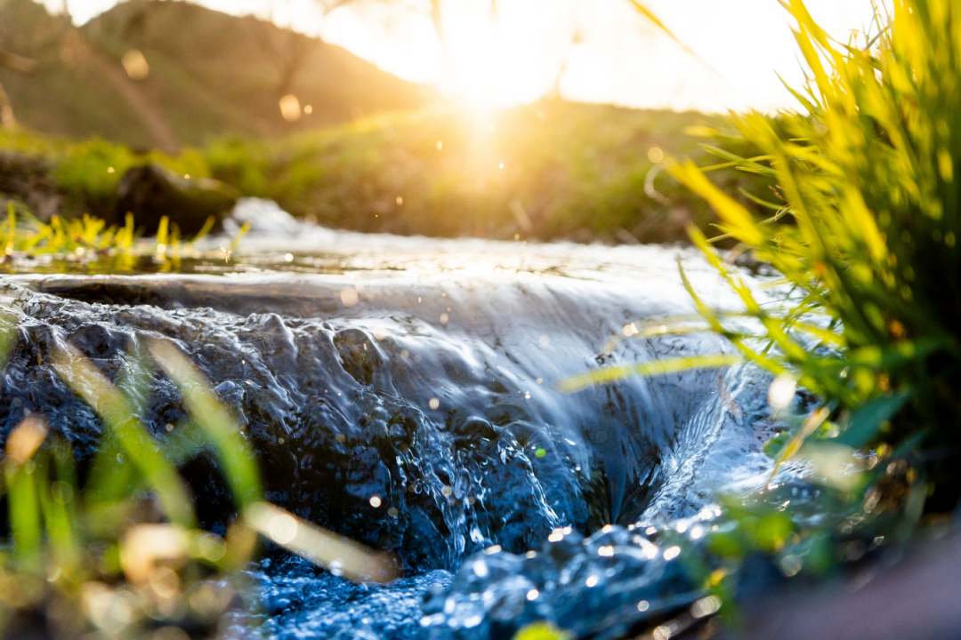 Giornata mondiale acqua