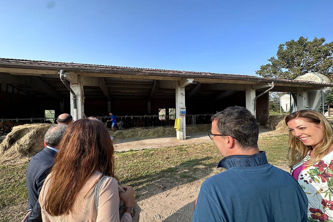 cascine fondazione guastalla sociale