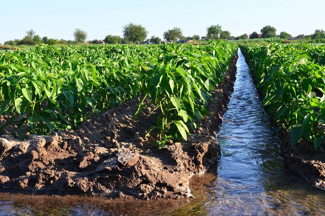 opere prioritarie lombardia settore irriguo