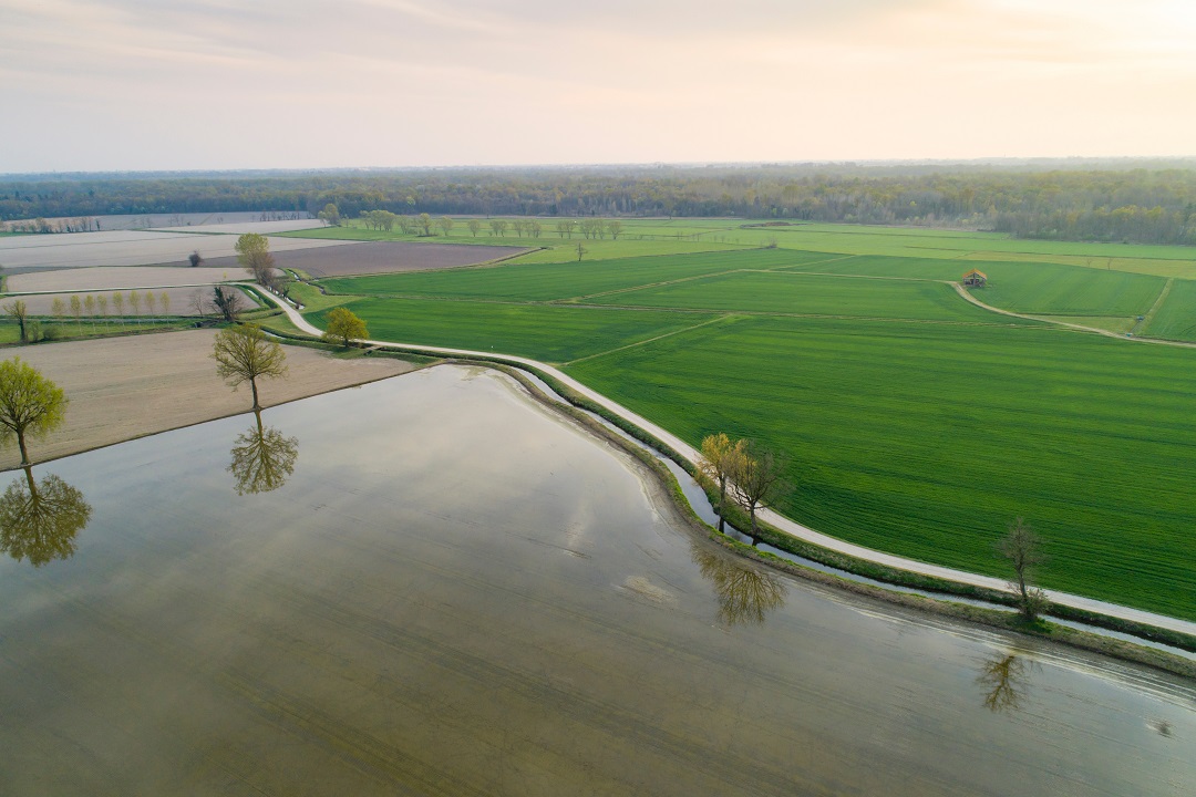 aziende agricole lombardia green