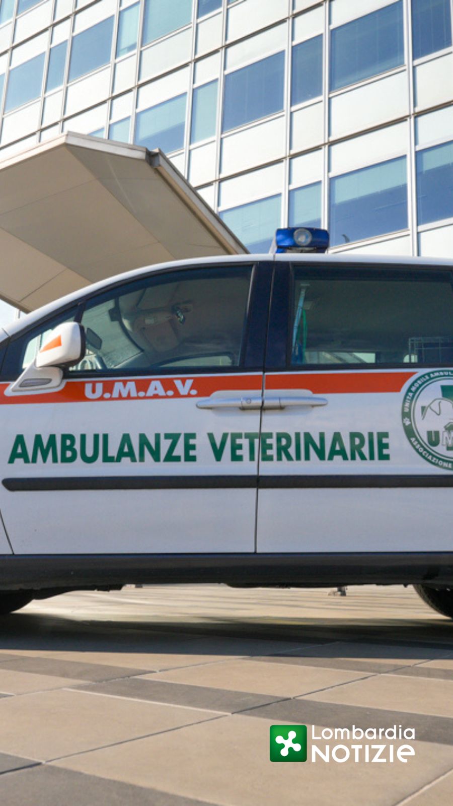 Amici a quattro zampe