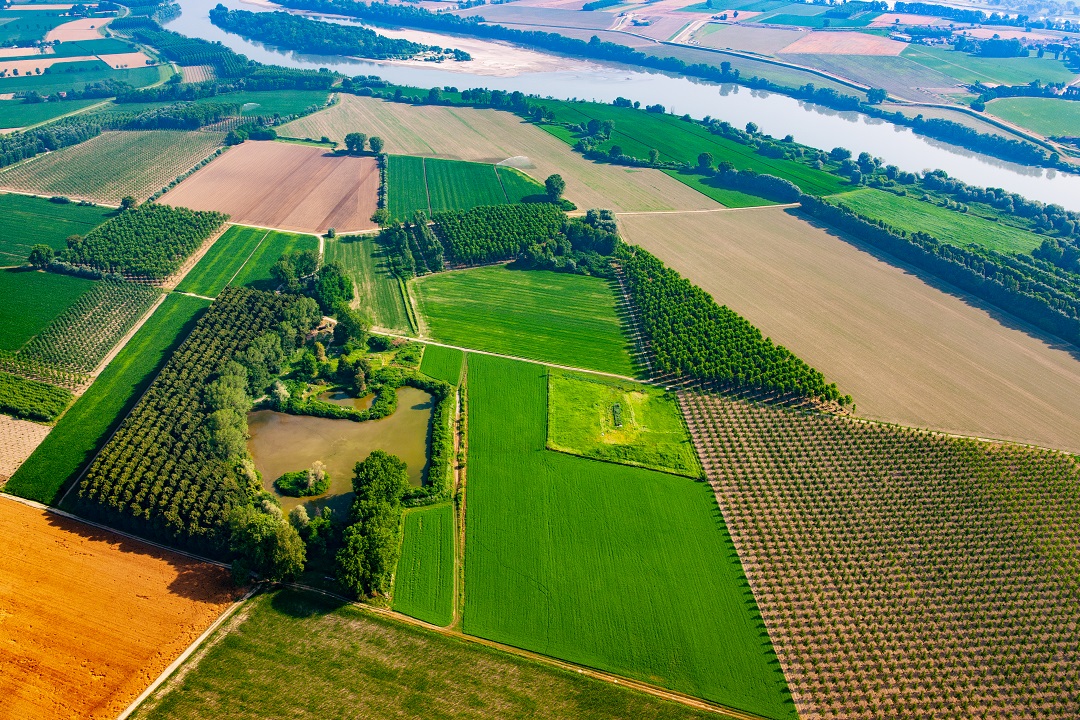 recupero fanghi agricoltura applicativo