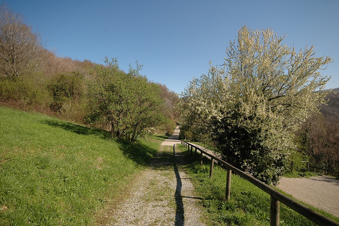 Parchi lombardi per tutti