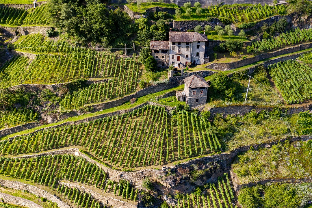 bando lombardia agricoltura montagna