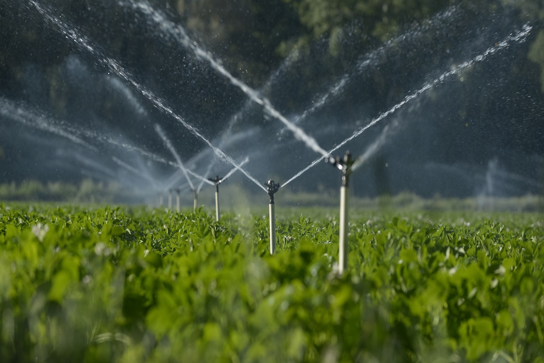 bando aziende agricole lombardia tecnologie