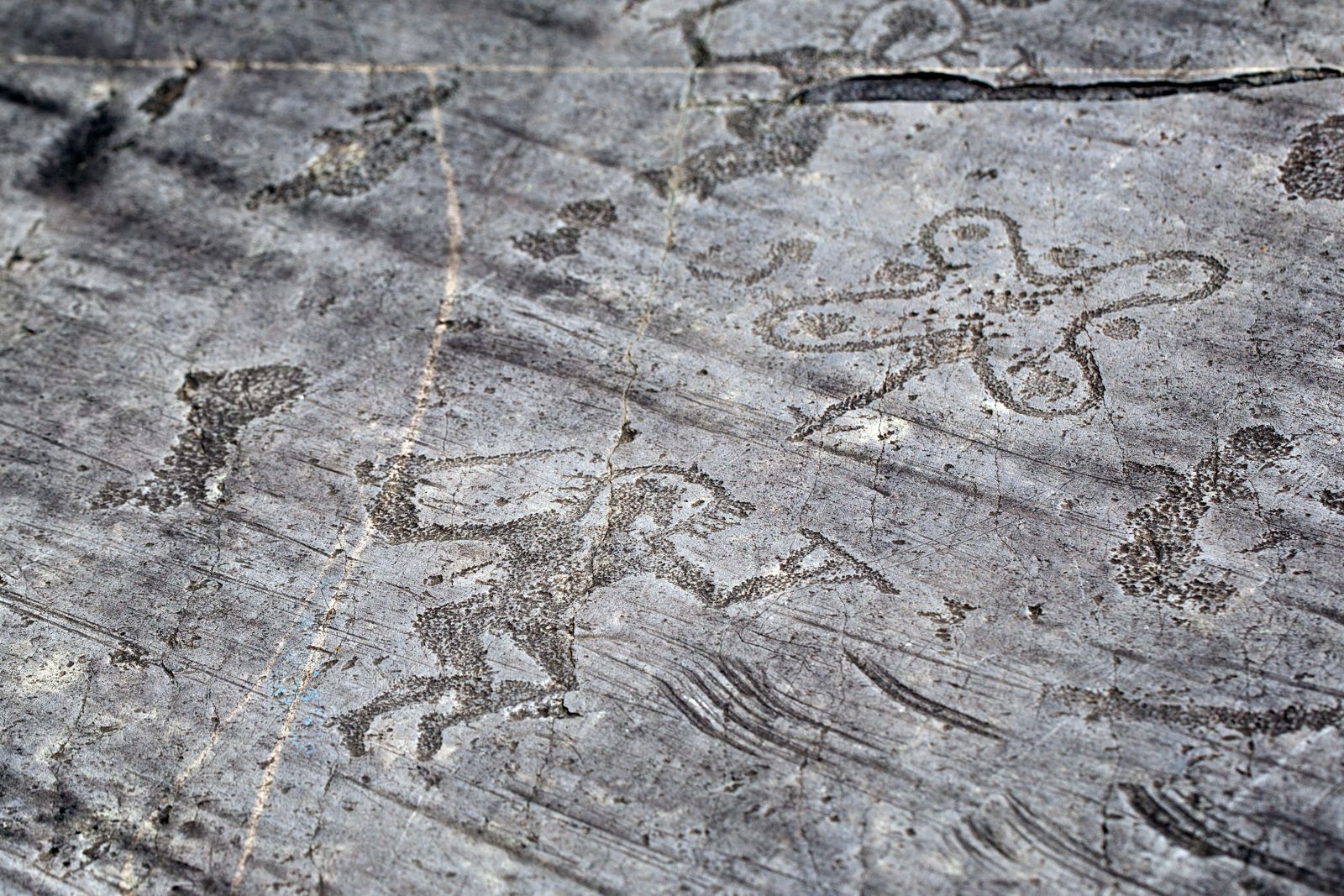 arte rupestre valcamonica