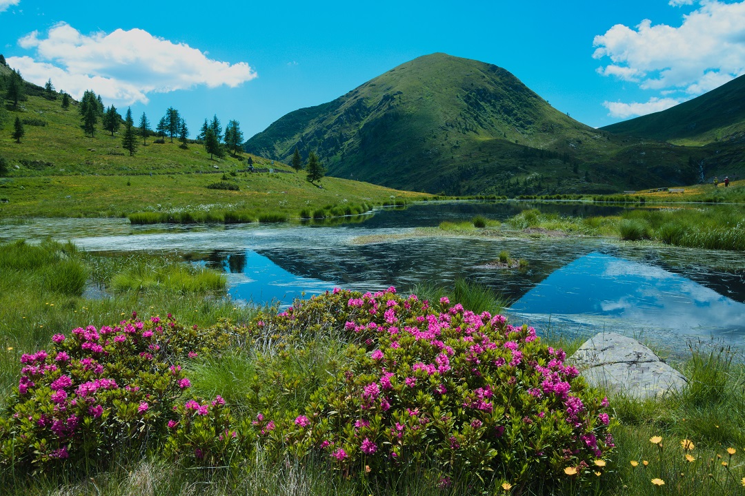valli prealpine lombardia strategie