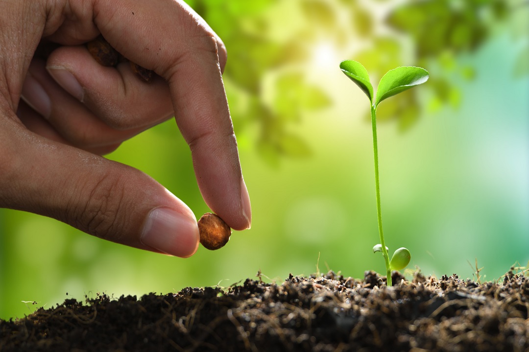 11 milioni aziende agricole interventi agroambientali