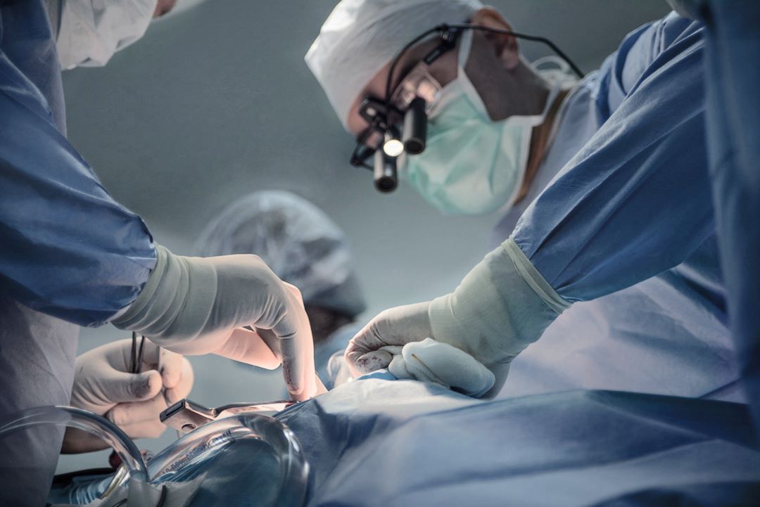 donazione organi tessuti lombardia