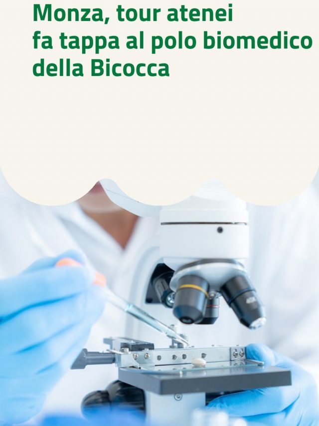 Monza, tour atenei