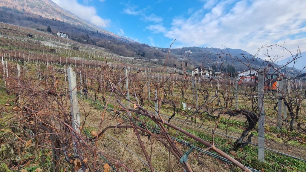 Sondrio droni