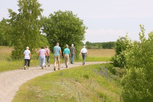 lombardia orti riabilitativo terapeutici