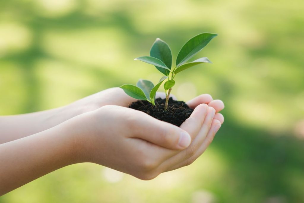 educazione ambientale progetti
