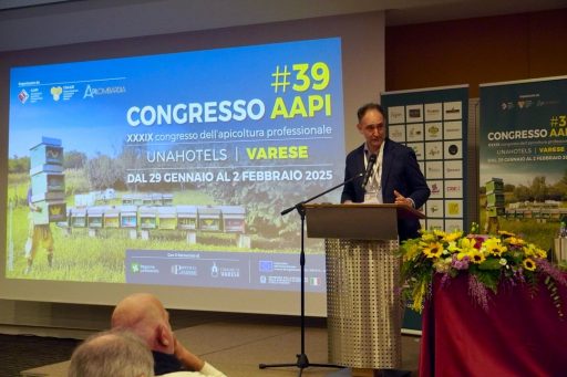 Beduschi intervento 