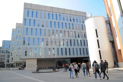 fermi università bocconi