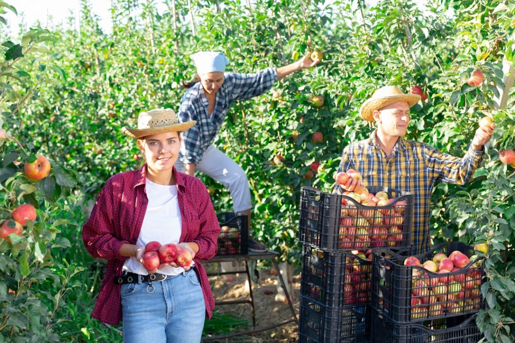 agricoltura lombardia 20 milioni giovani