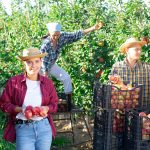 agricoltura lombardia 20 milioni giovani