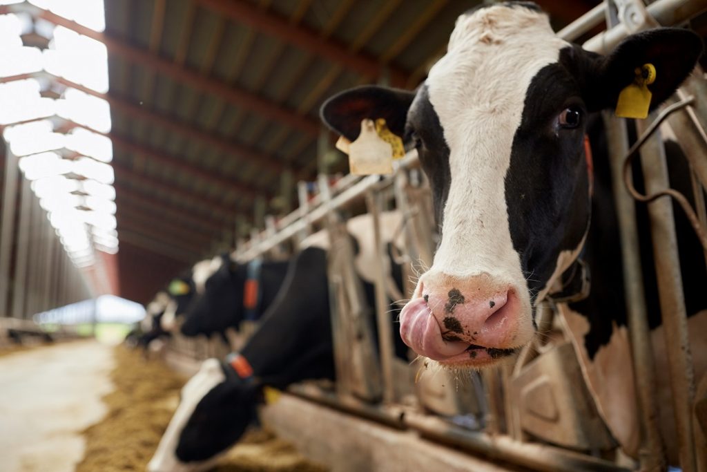 agricoltura lombardia commissione europea