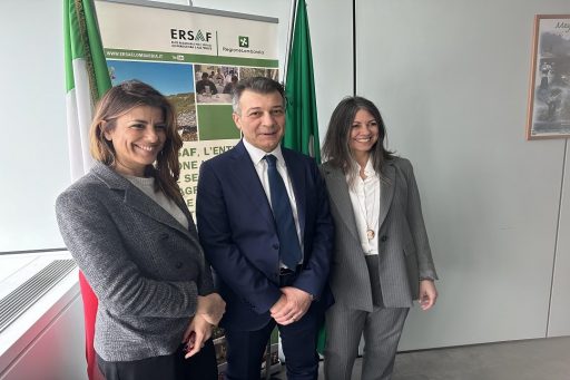 fasio losio fondazione riccagioia