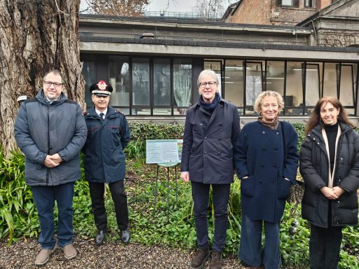 Alberi monumentali Noce del Caucaso