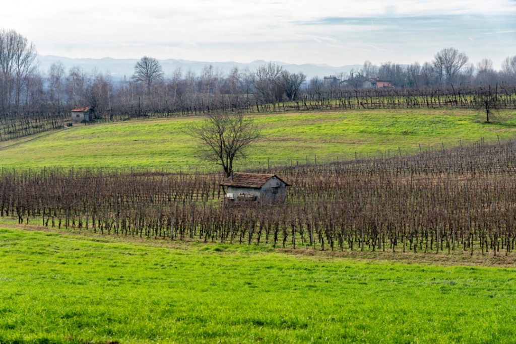 Sopralluogo San Colombano al Lambro