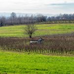 Sopralluogo San Colombano al Lambro