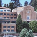 insubria anno accademico