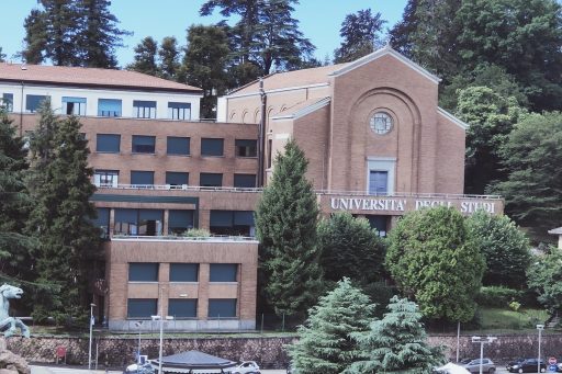 insubria anno accademico