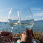 Lake Garda Wines