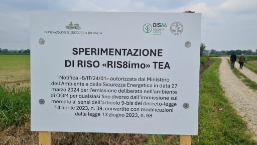 tea confronto ue