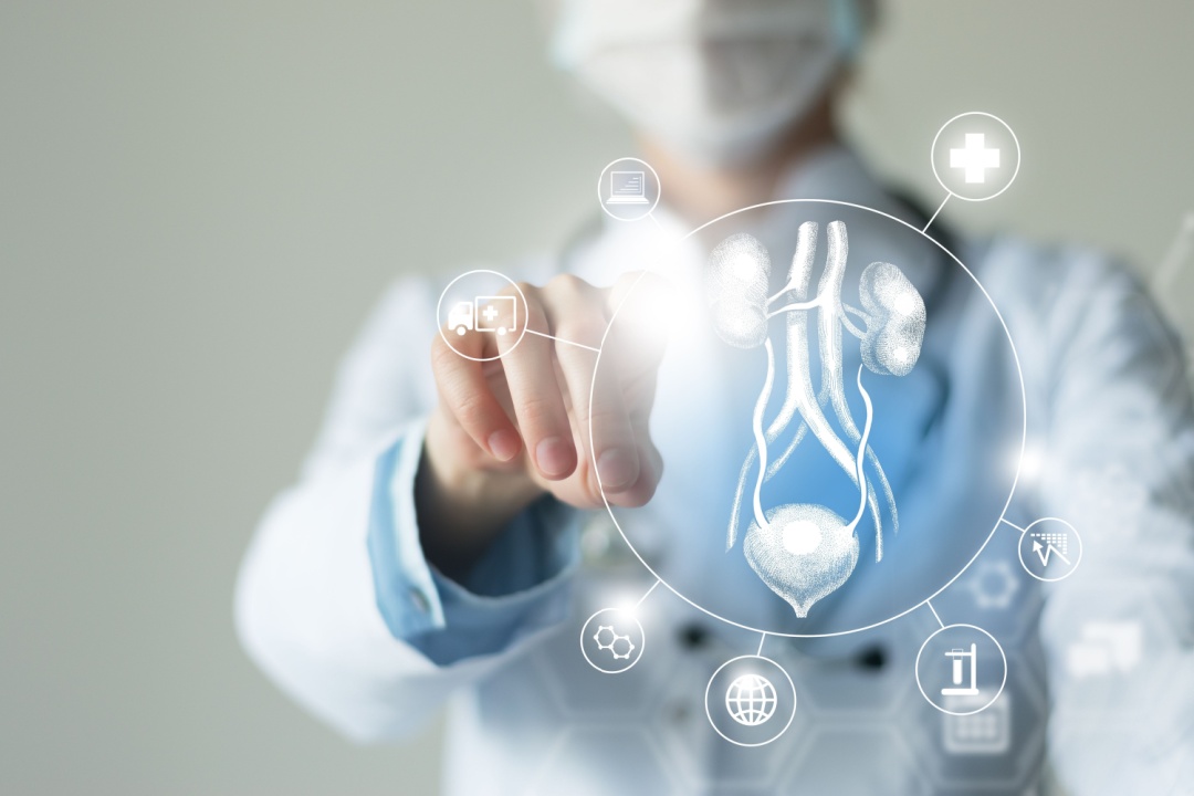 L’immagine mostra uno sviluppo sul tema sullo screening alla prostata tramite AI del bando europeo a cui partecipa Regione Lombardia su iniziativa dell’assessore al Welfare Guido Bertolaso