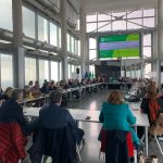 salute mentale regione