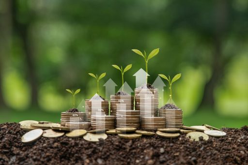 un'immagine sulla finanza green per ilprogetto di Regione lombardia e Finlombarda