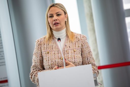 Assessore Tironi che ha coordinato tavolo su vertenza stanadyne dedicata al lavoro, in un evento a palazzo lombardia 
