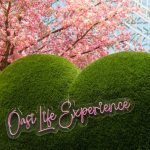 'Oasi Life Experience', allestimenti per l'evento della Design Week in piazza Città di Lombardia