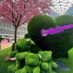 La foto ritrae una delle installazioni di Oasi Life Experience. Sono presenti degli orsacchiotti e un grande cuore ricoperti da un prato curato. Sul cuore c'è scritto con i led 'Oasi Life Experience'. Poi, è presente un albero di ciliegio fiorito