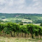 Un’immagine dei campi dei campi della Val Versa, al centro del progetto ‘ValVersa da Vivere’, la manifestazione per il rilancio di una zona strategica della Lombardia