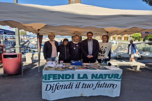 giornata verde pulito 2025 