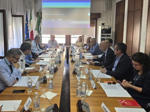 Zona Logistica Semplificata Mantova e Cremona