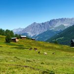 Malghe e alpeggi, per loro recupero, da Regione Lombardia 2 milioni di euro