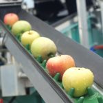 Produzione mele, tra i settori agrifood interessati dalle nuove misure per investimenti agricoli e agroindustriali in Lombardia