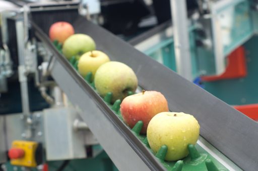 Produzione mele, tra i settori agrifood interessati dalle nuove misure per investimenti agricoli e agroindustriali in Lombardia