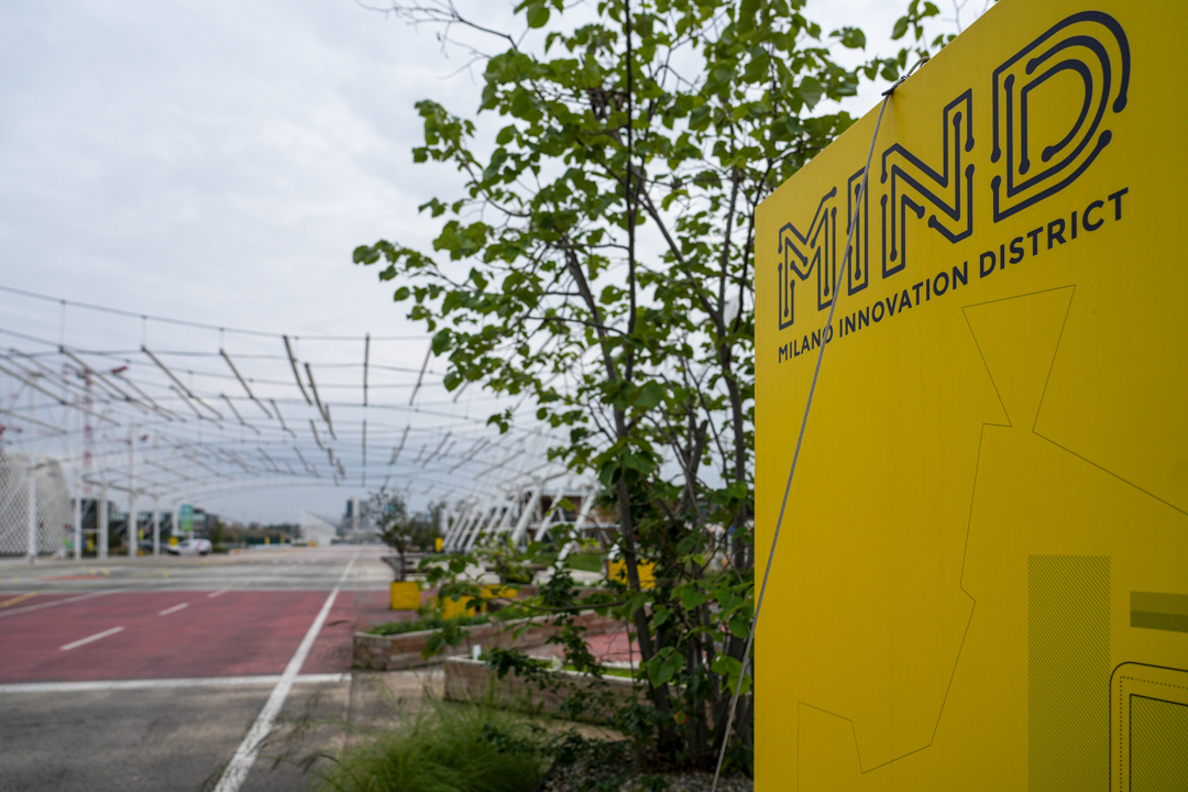 campus mind didattica