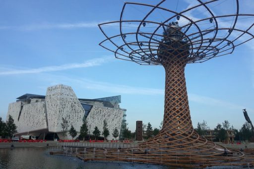 mind lombardia ricerca