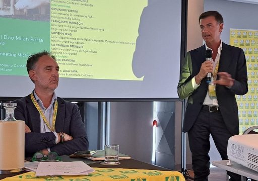 Beduschi Prandini