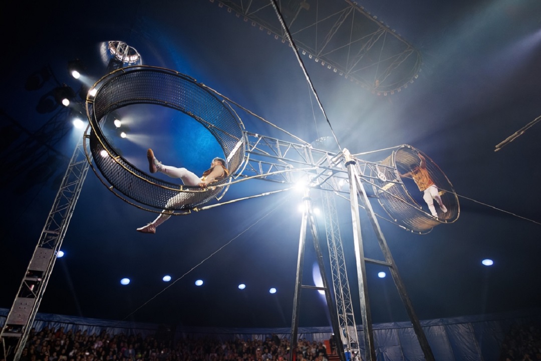 turismo Strabilio circo contemporaneo