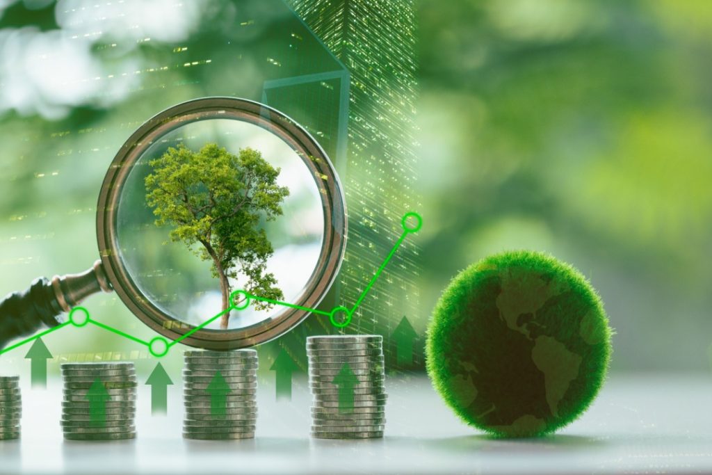 Foto simbolica con alberi e monete per rappresentare la proposta dell'assessore di Regione Lombardia all’Ambiente e Clima, Giorgio Maione, per la gestione diretta delle Regioni dei fondi Ue per l'ambiente