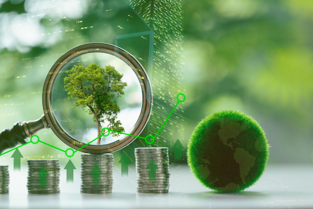 Foto simbolica con alberi e monete per rappresentare la proposta dell'assessore di Regione Lombardia all’Ambiente e Clima, Giorgio Maione, per la gestione diretta delle Regioni dei fondi Ue per l'ambiente